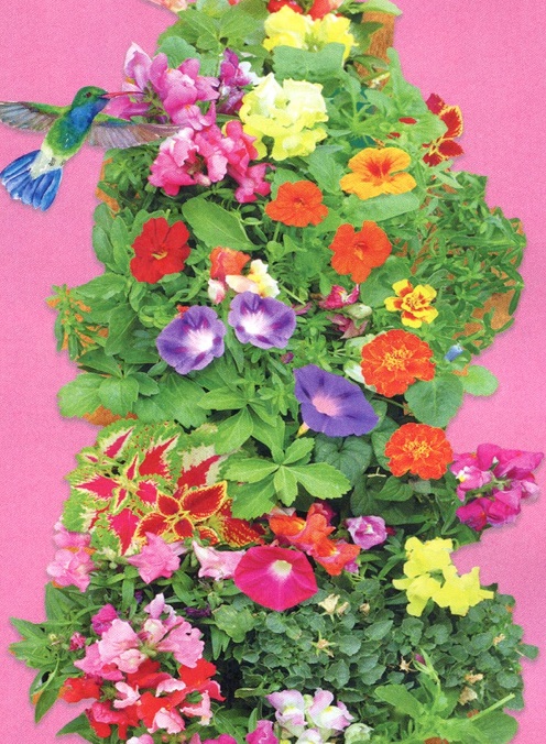 #0053 Hummingbird Hanging Kit