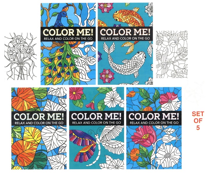 #6500 Color Me Coloring Books Set of 5