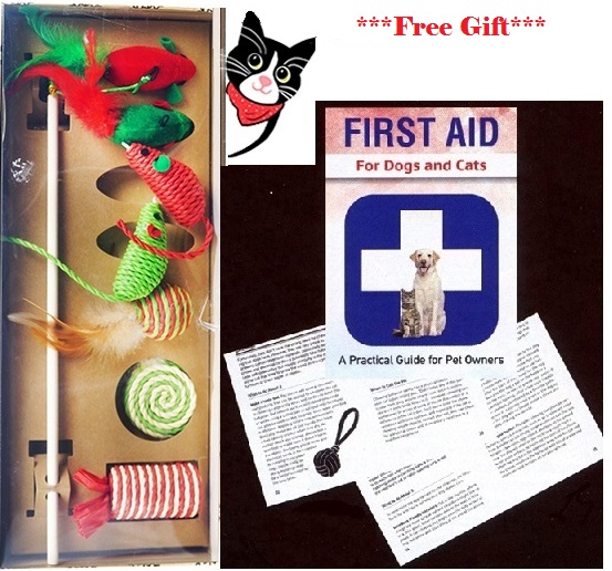 #2983 Holiday Cat Gift Box 16